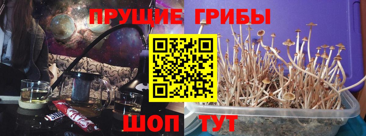 Меф кристаллы  ГАШ  Кокаин  Кандалакша  МЕТ  Марихуана  Вход с VPN 