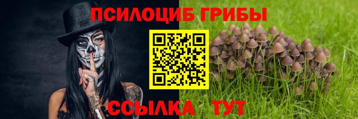 Галлюциногенные грибы Cubensis  Вход с VPN  Кандалакша 
